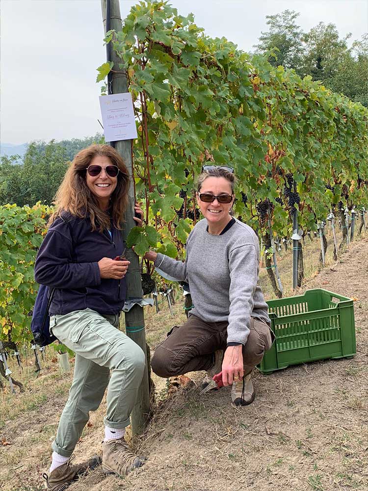 adotta-vigneto-persiera-langhe